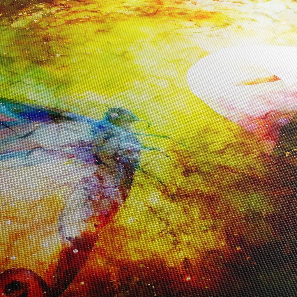 Obraz - Kozmický motýľ (150x105 cm)