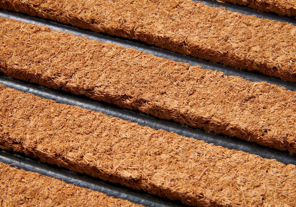 Rohožka Striped 105935 - na von aj na doma, 45x75, hnedá, chodba / predsieň, Hanse Home