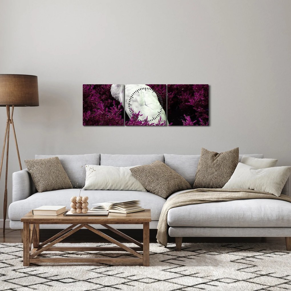 Obraz - Biely páv (s hodinami) (90x30 cm)