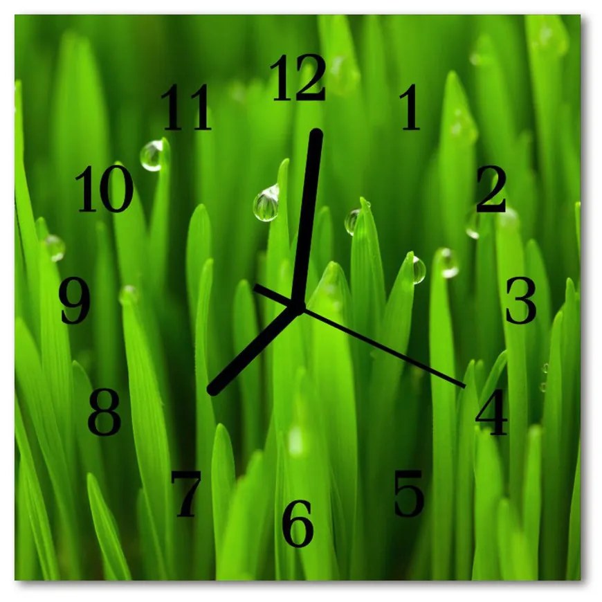 Nástenné sklenené hodiny Rosa na tráve 30x30 cm