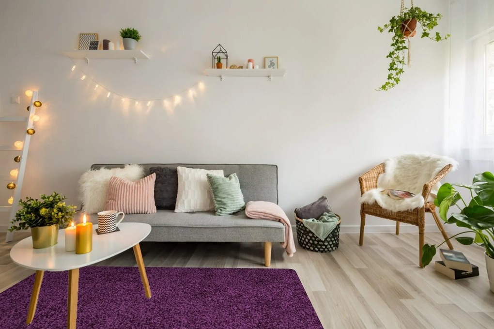 Kusový koberec Life Shaggy 1500 lila, 200x290, fialová, obývacia izba, Ayyildiz