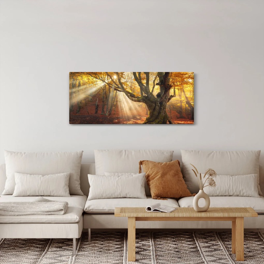 Obraz - Jesenný svit (120x50 cm)