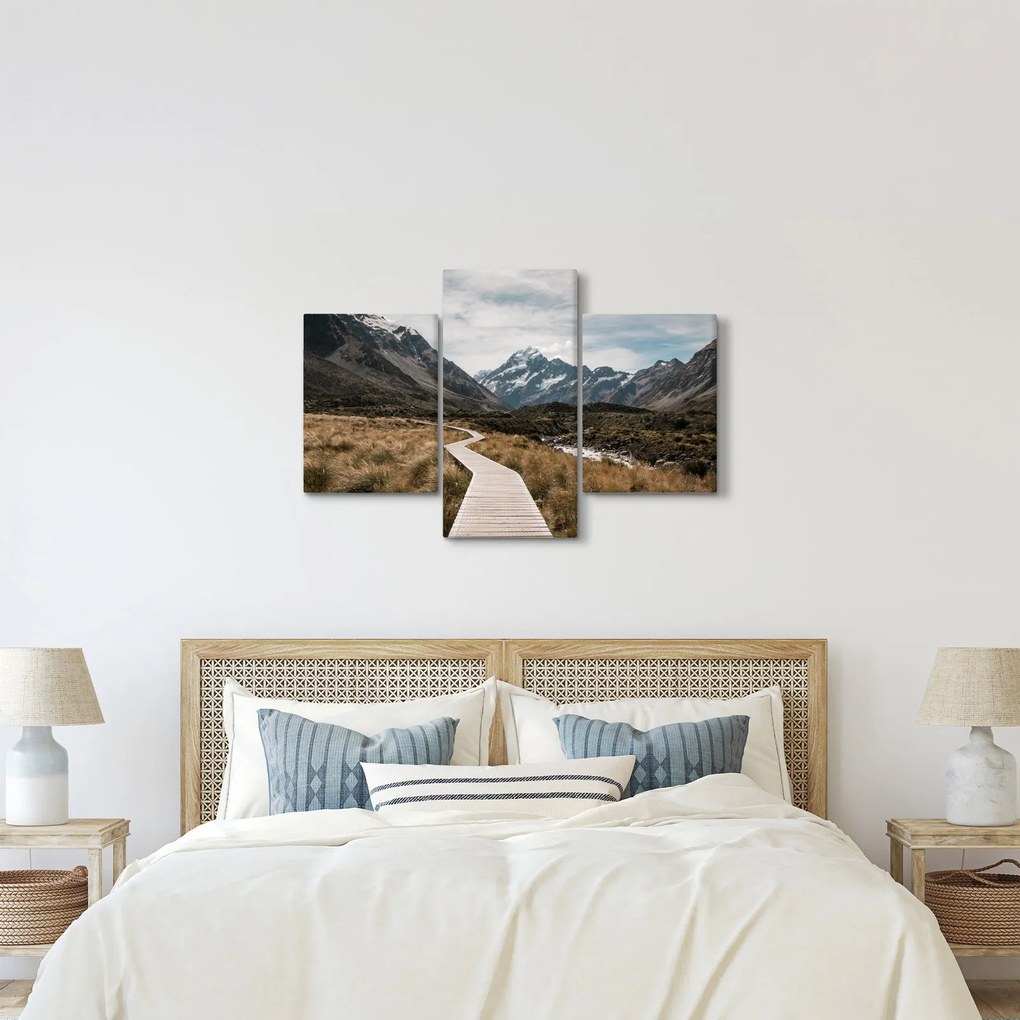 Obraz - Chodník v údolí hory Mt. Cook (90x60 cm)