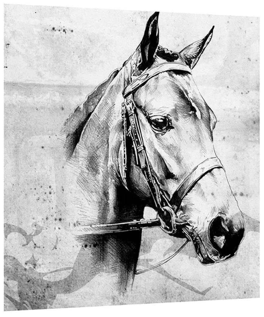 Obraz - portrét koňa (30x30 cm)