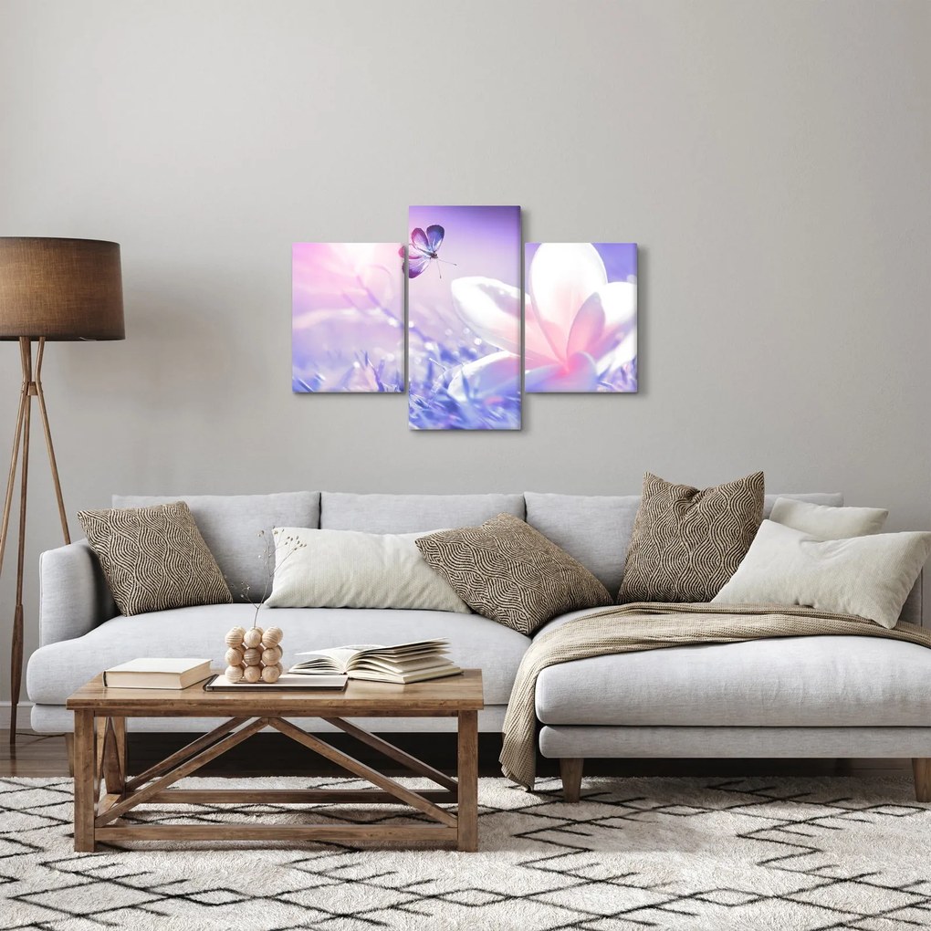 Obraz - Motýľ prilietajúci na kvet (90x60 cm)