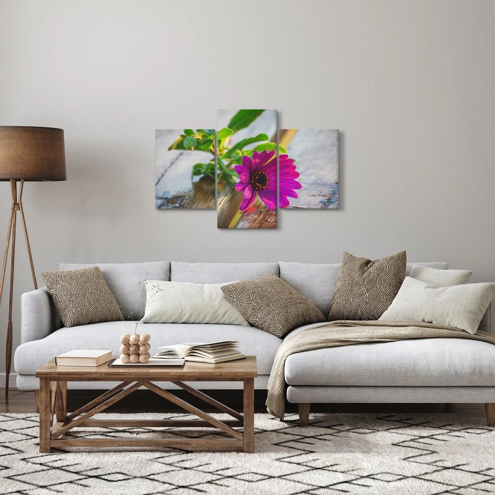 Obraz rezanej kvetiny (90x60 cm)