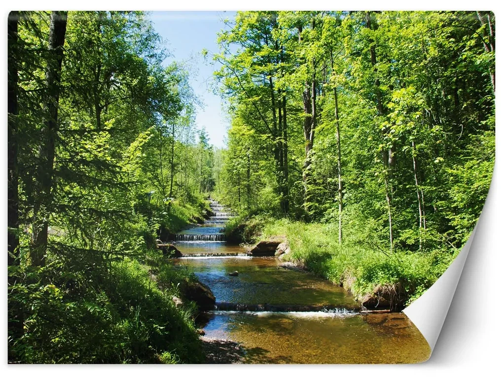 Gario Fototapeta Rieka v zelenom lese Materiál: Vliesová, Rozmery: 450 x 315 cm