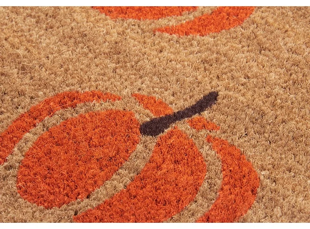 Rohožka 45x75 cm Mix Mats - Hanse Home