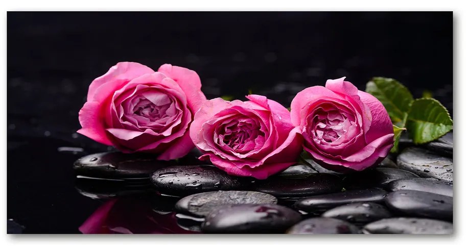 Foto obraz akrylové sklo Ružové ruže pl-oa-140x70-f-77048055