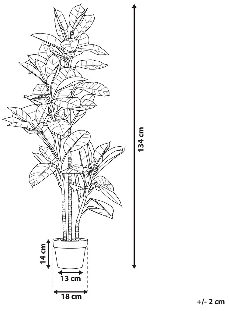 Umelá rastlina v kvetináči 134 cm FICUS ELASTICA Beliani