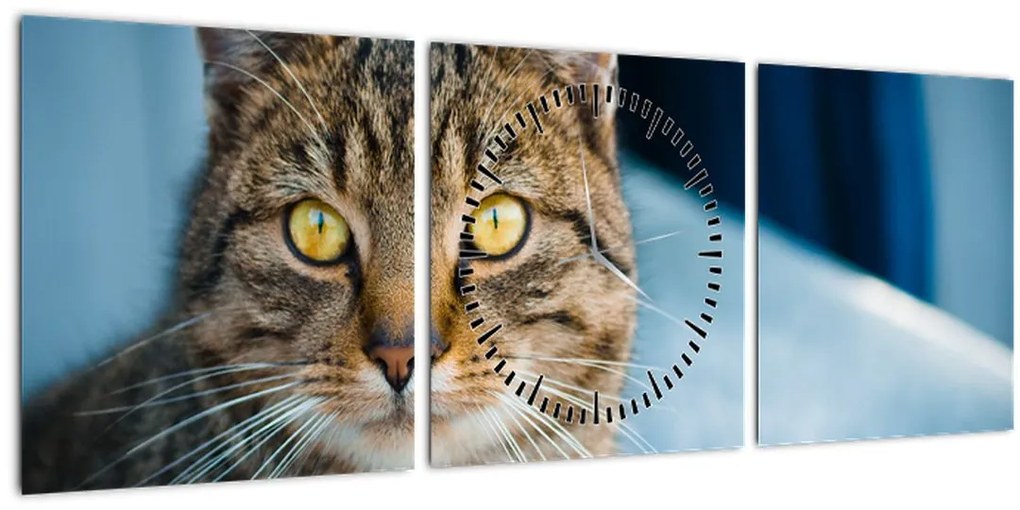 Obraz - Mačka domáca (s hodinami) (90x30 cm)