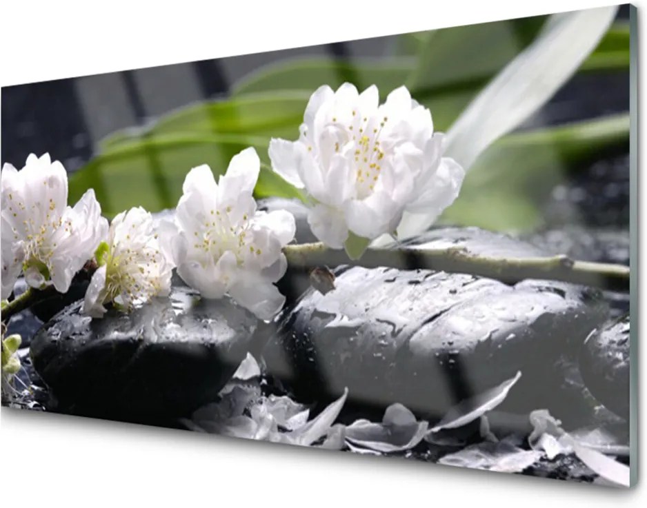 Obraz na akrylátovom skle Sklenený Kvet Kamene