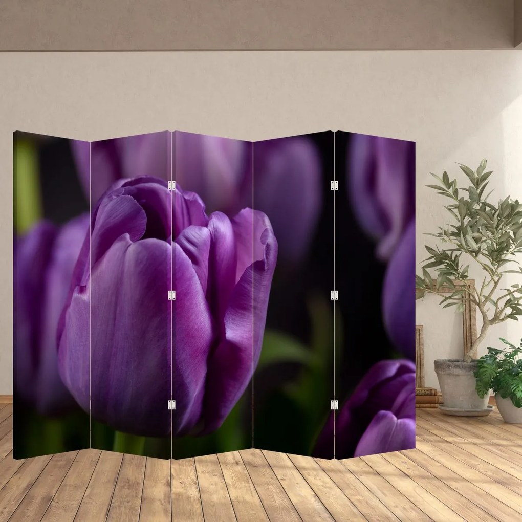 Paraván - Kvet tulipánov (210x170 cm)