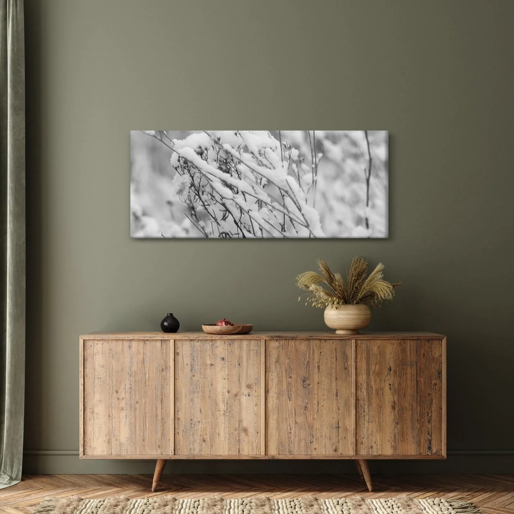 Obraz - Zasnežené vetvy (120x50 cm)