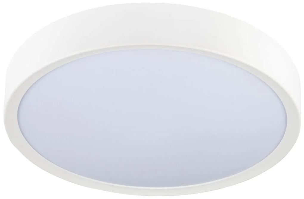 Livarno Home Nástenná a stropná LED lampa (biela, rám ), biela (100331309)
