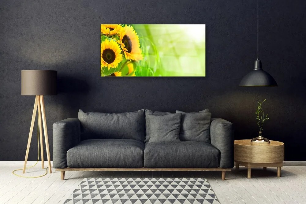 Obraz na skle Slnečnicami rastlina 100x50 cm