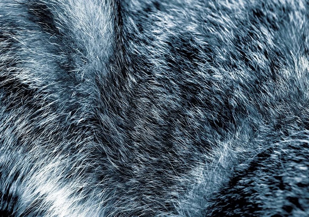 Fototapeta - Modrá srsť (152,5x104 cm)