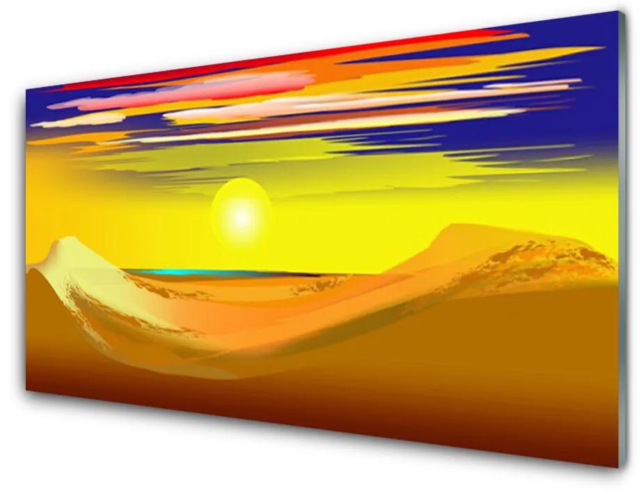 Obraz plexi Púšť sĺnk umenie 100x50 cm