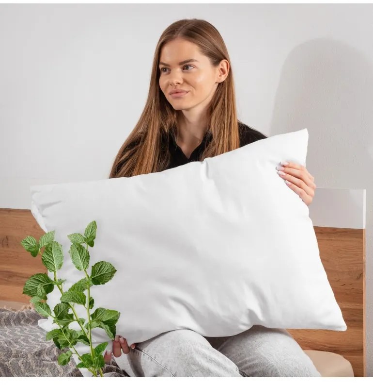Aromatický vankúš Mint 50x70 cm EMI