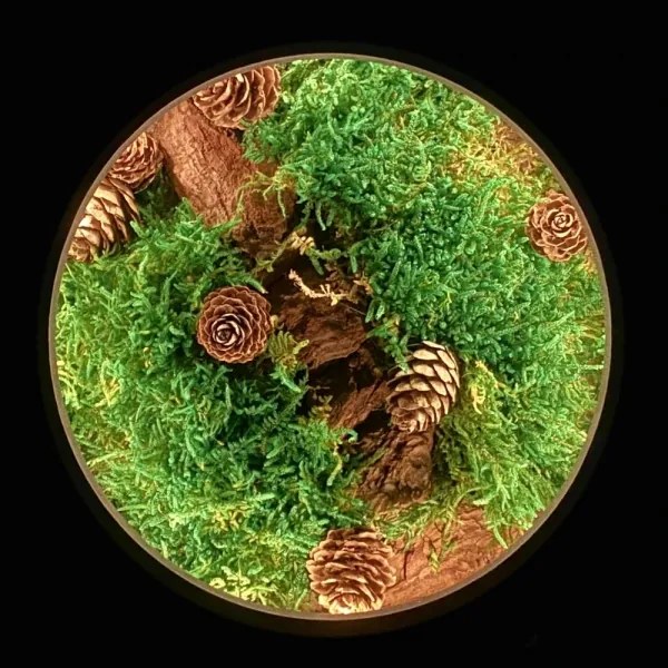 Li-Go 23654 - LED stmievateľná stolová dekorácia LED/12W/230V 20x22 cm mach