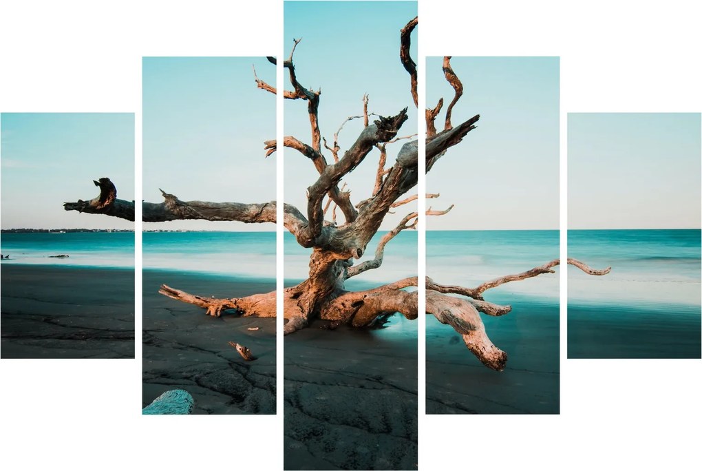 Obraz - Vyplavenie na pláži (150x105 cm)
