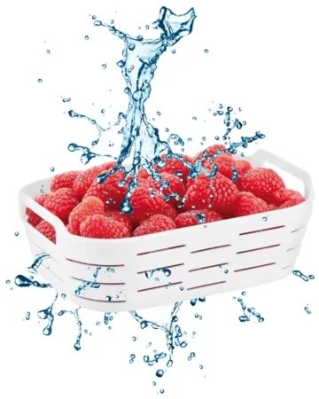 Tescoma Dóza do mrazničky s košíkom 4FOOD 1,0 l, 1 l