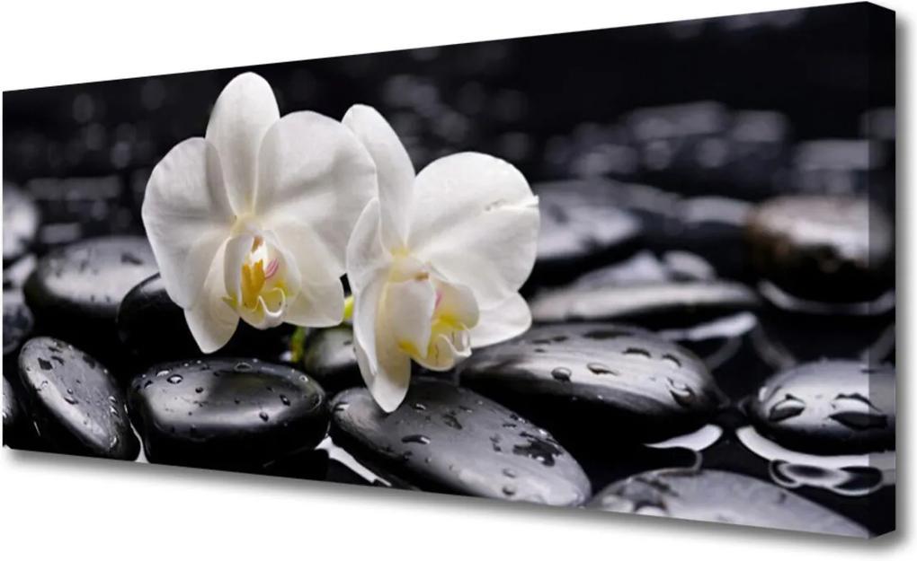 Obraz Canvas Kamene Zen Biela Orchidea