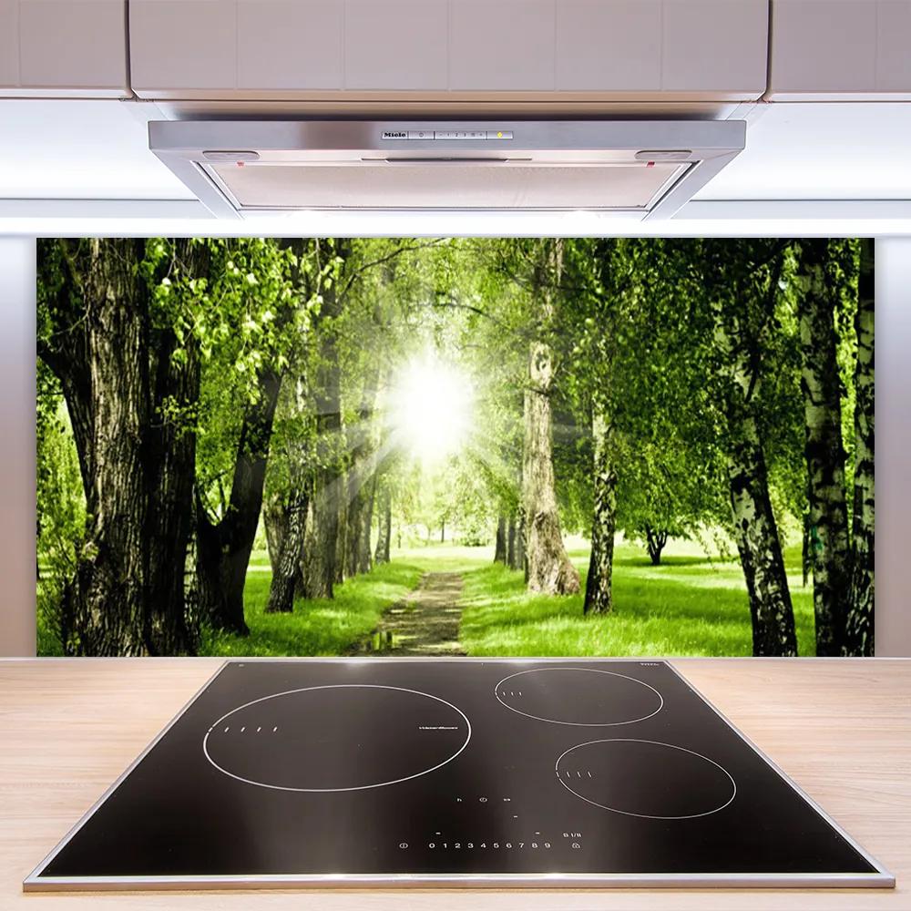 Sklenený obklad Do kuchyne Les slnko chodník príroda 100x50 cm