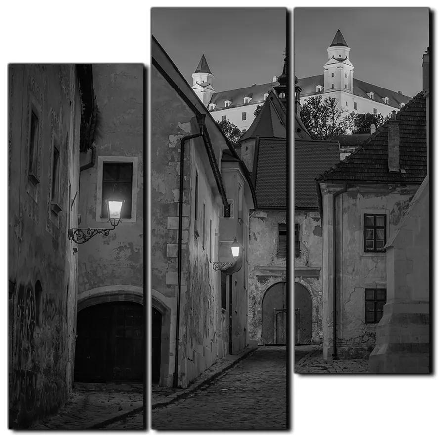 Obraz na plátne - Bratislava staré mesto s hradom vzadu - štvorec 3265QD (105x105 cm)