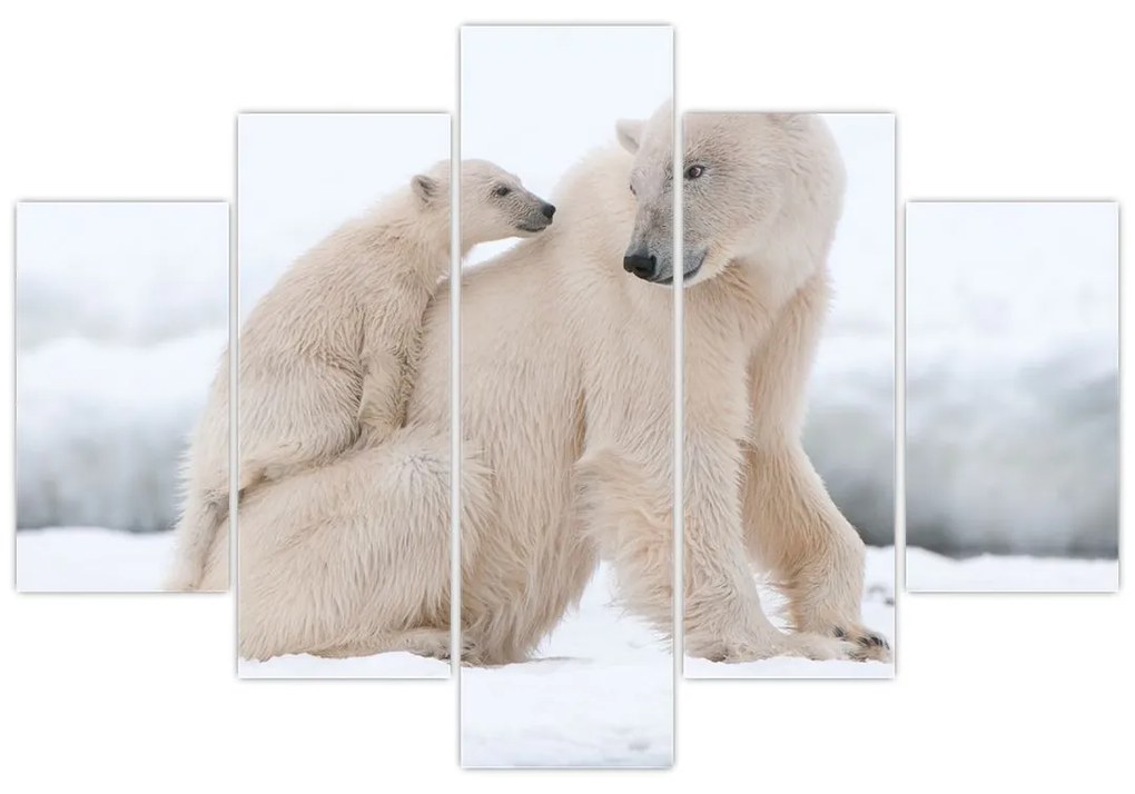 Obraz - Ľadové medvede (150x105 cm)
