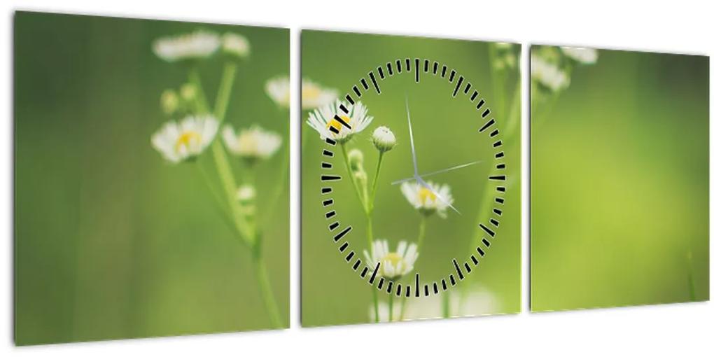 Obraz Sedmokrásky (s hodinami) (90x30 cm)