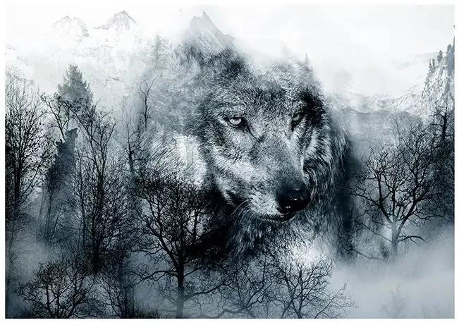Fototapeta - Mountain Predator (Black and White) Veľkosť: 196x140, Verzia: Samolepiaca
