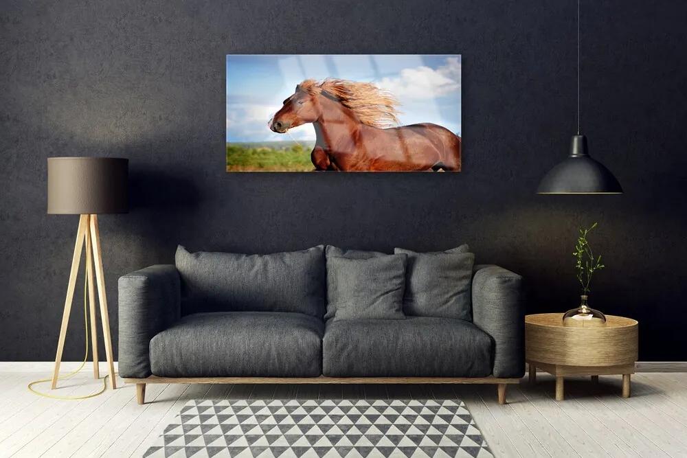 Obraz na skle Kôň zvieratá 140x70 cm