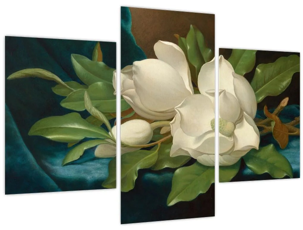 Obraz - Martin Johnson Heade, Giant Magnolias on a Blue Velvet Cloth, reprodukcia (90x60 cm)