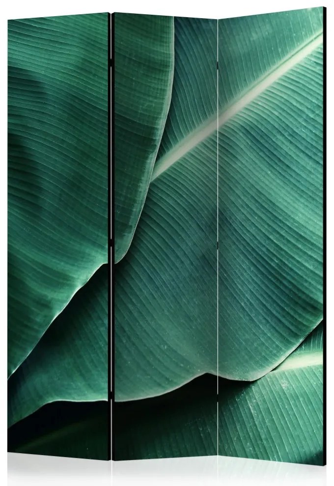 Artgeist Paraván - Banana Leaf [Room Dividers]