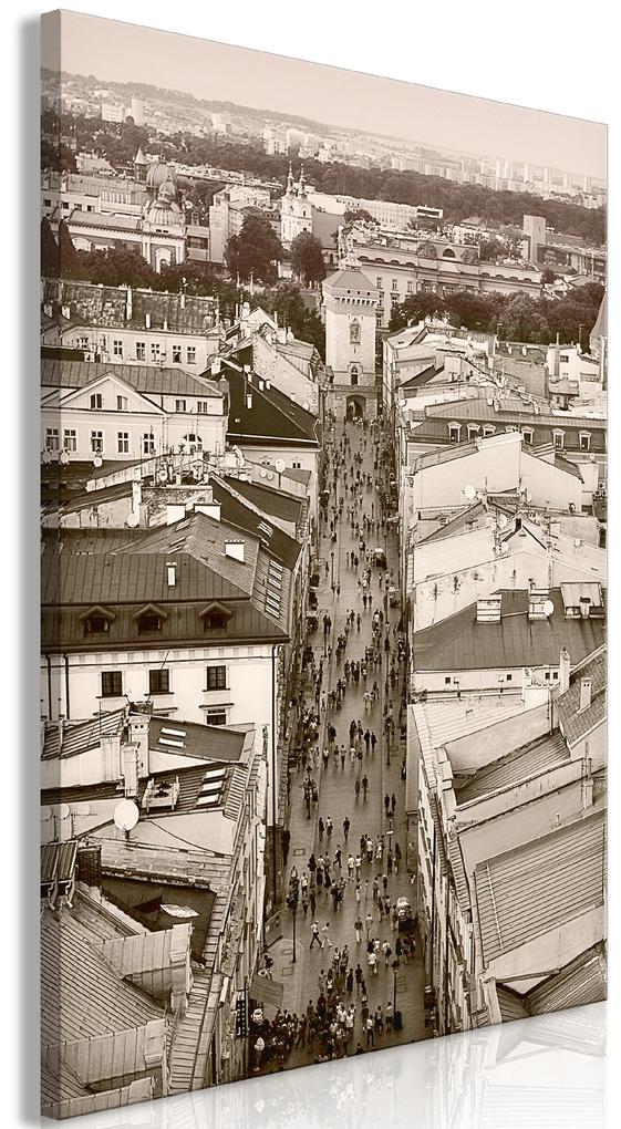 Artgeist Obraz - Cracow: Florianska Street (1 Part) Vertical Veľkosť: 20x30, Verzia: Premium Print