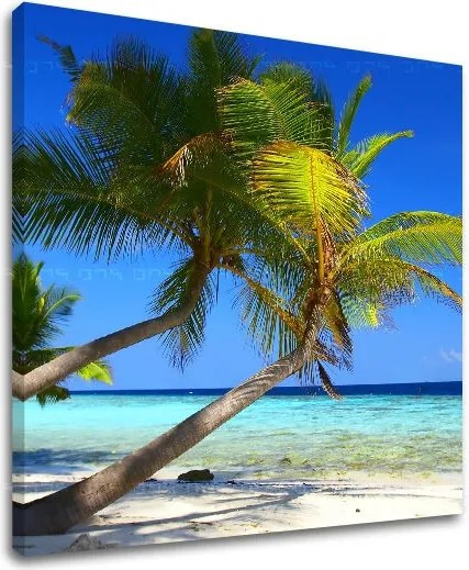 Obraz na stenu PLÁŽ