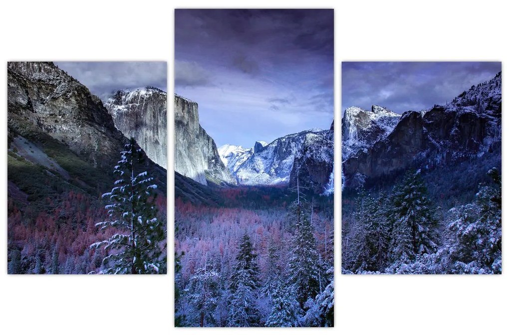 Obraz - Yosemite, USA (90x60 cm)