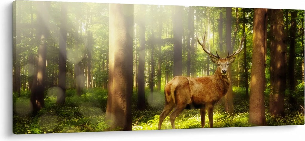 Obraz jeleňa v lese (120x50 cm)