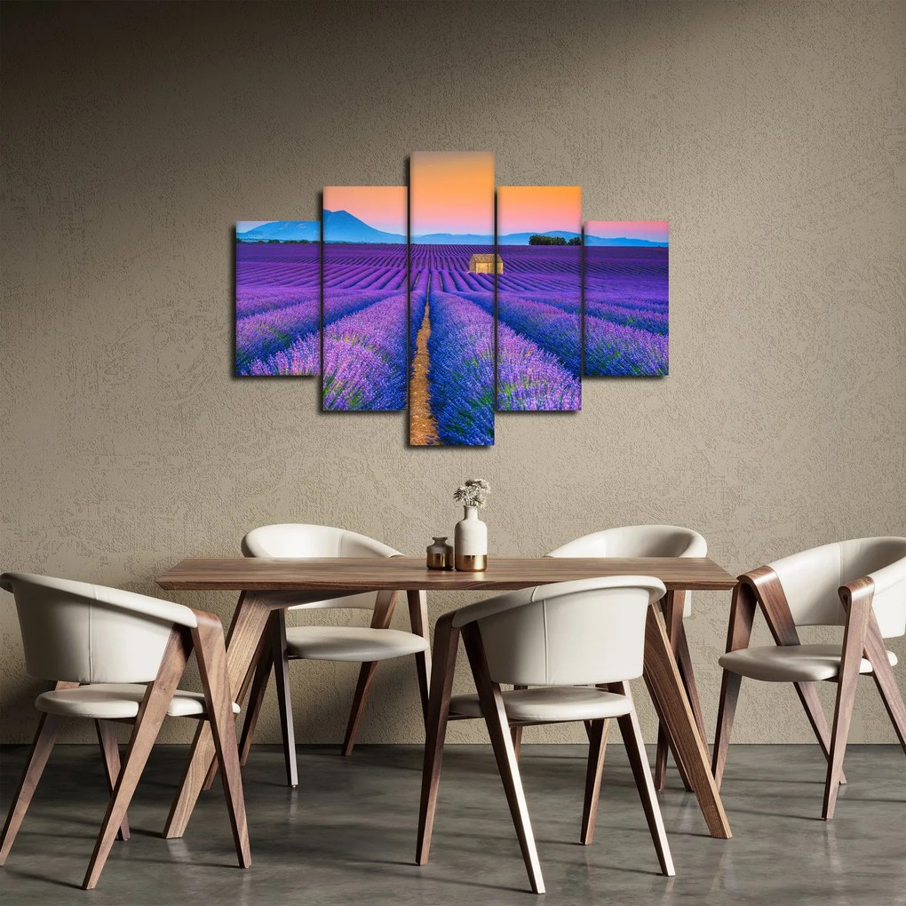Obraz - Levanduľové pole (150x105 cm)