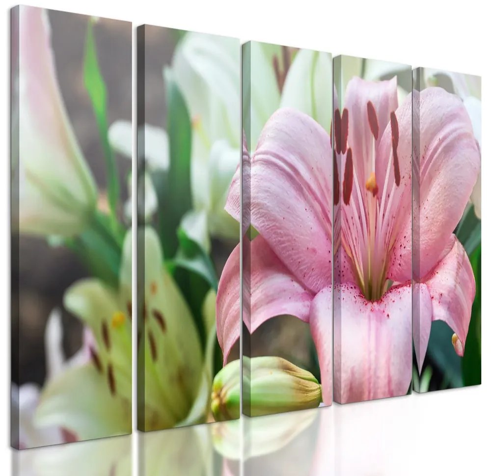 5-dielny obraz ľalia dlhokvetá