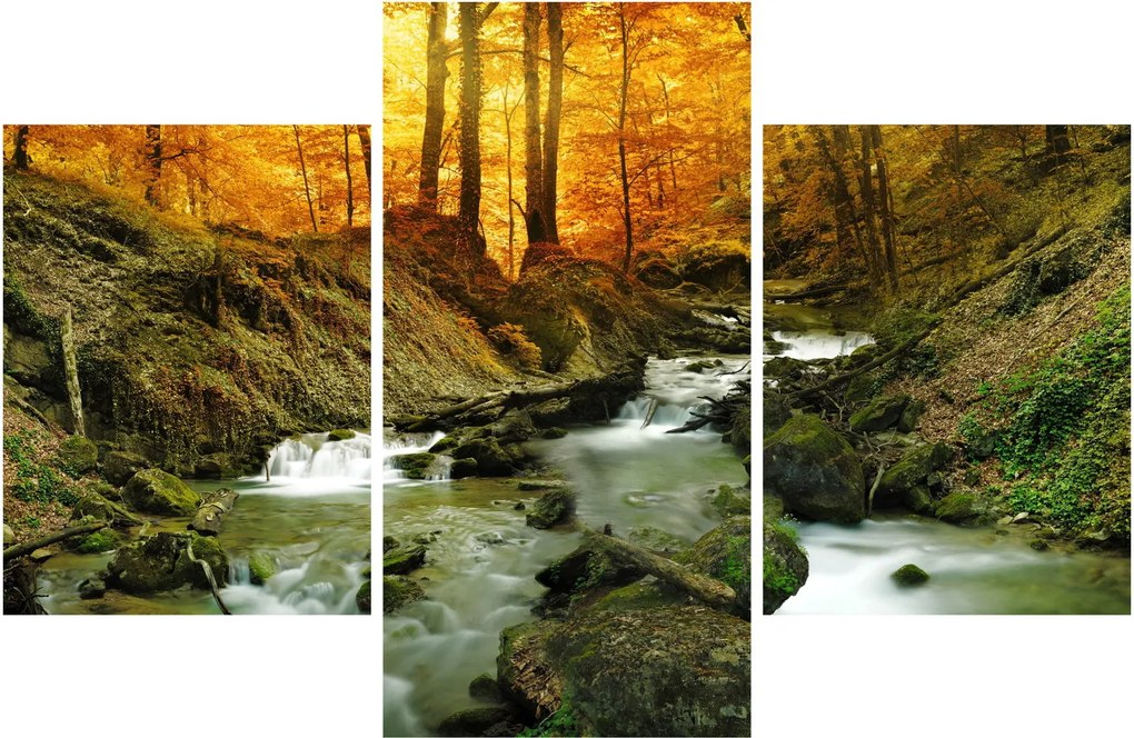 Obraz - Les (90x60 cm)