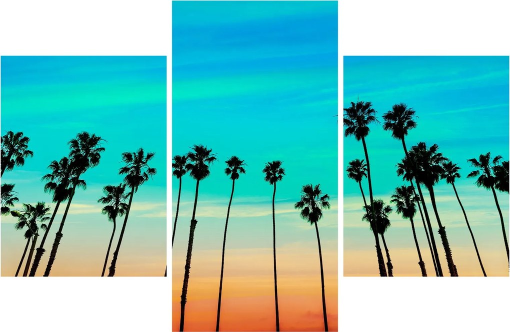 Obraz - Kalifornia (90x60 cm)