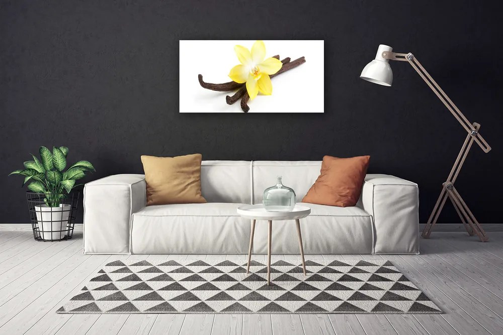 Obraz Canvas Vanilka rastlina príroda 125x50 cm