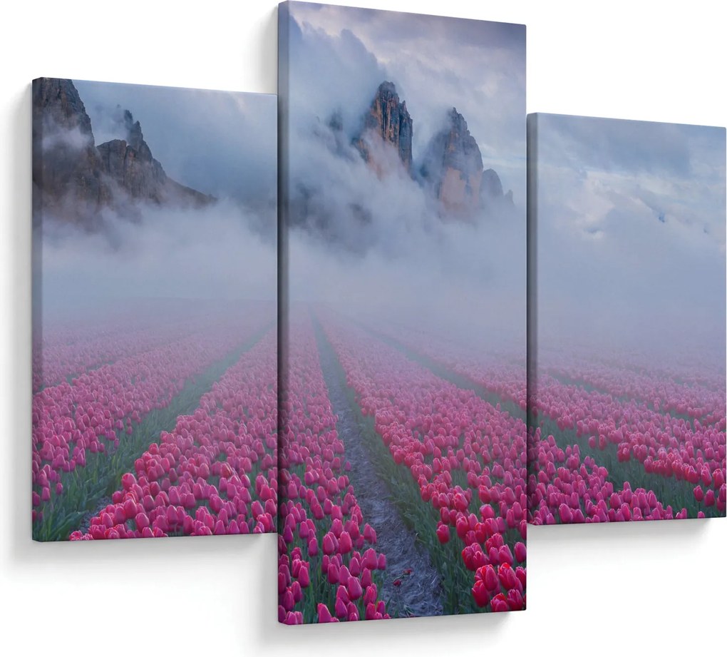 Obraz - Krajina s tulipánovými poľami (90x60 cm)