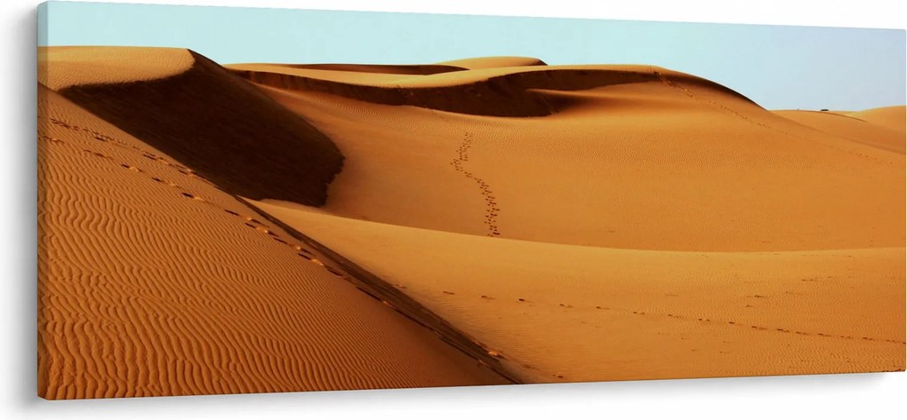 Obraz - Stopy v púšti (120x50 cm)