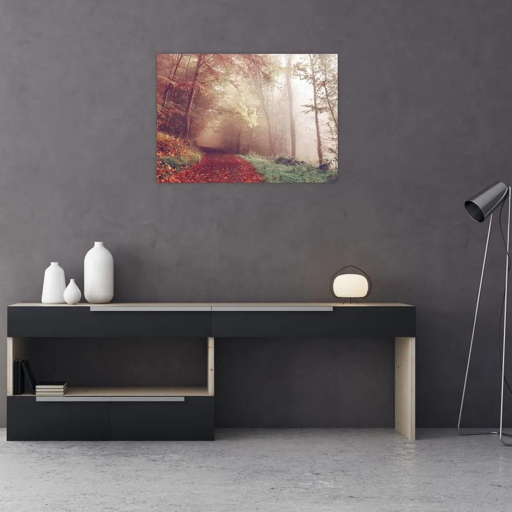Obraz - Jesenná prechádzka lesom (70x50 cm)