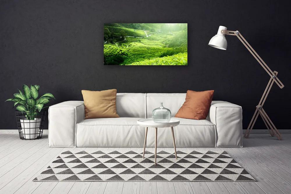 Obraz na plátne Lúka príroda 120x60 cm