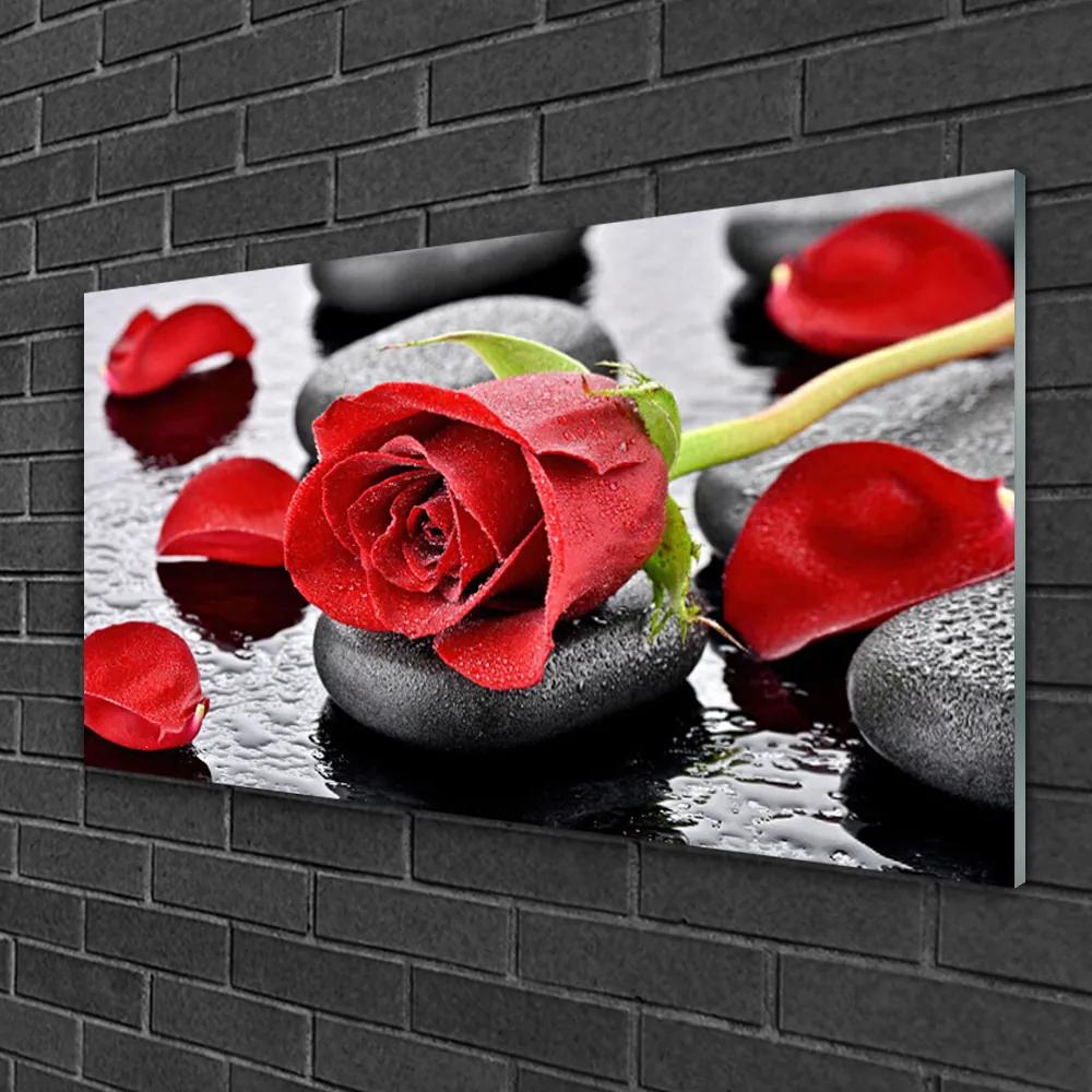 Skleneny obraz Ruže kvet kamene zen 125x50 cm