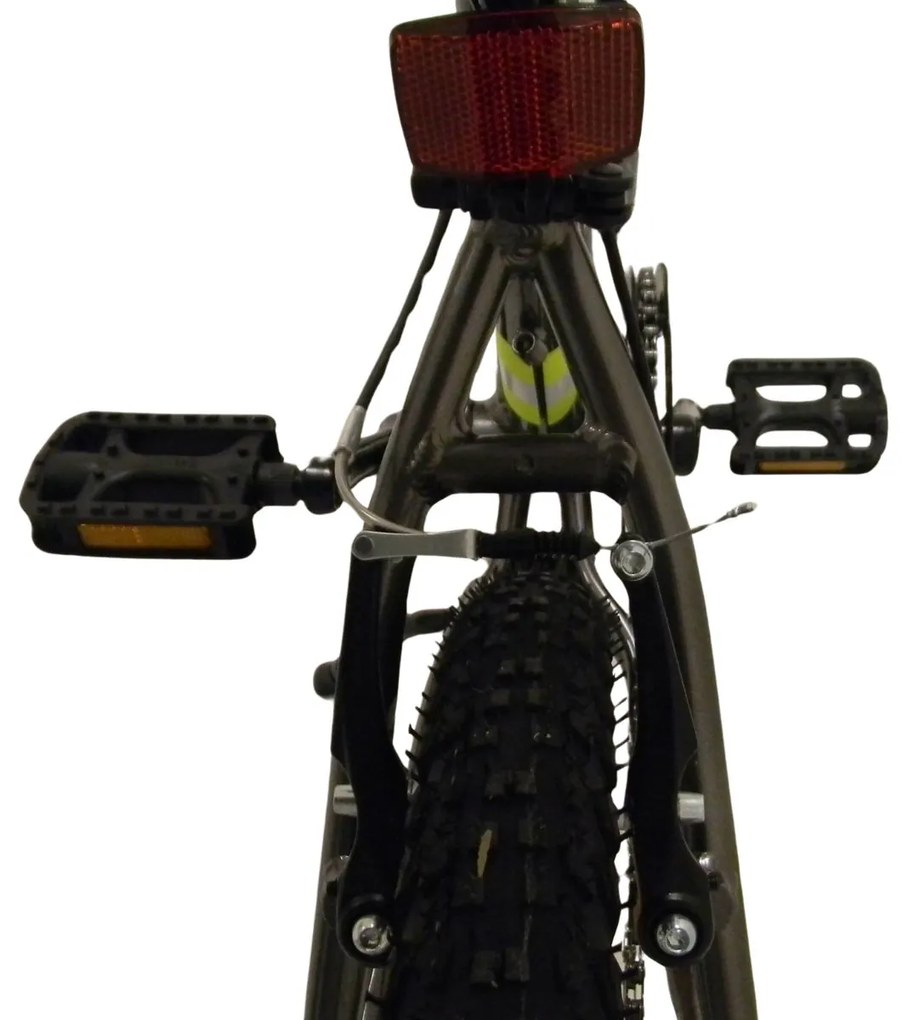 BNB Chlapčenský horský bicykel Arrow YS-7674 BOY šedé 20" 2024